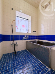  ���o�X���[�����^�C������̃o�X���[���B