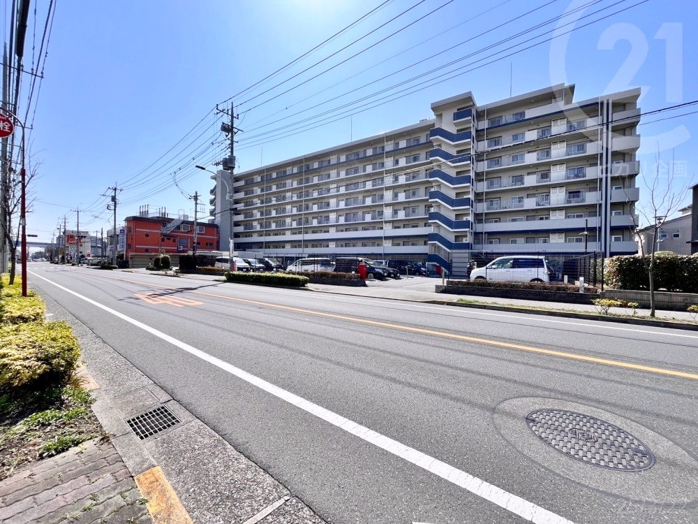  �������m���[���u���X���w�v�܂œk��3���B���R�ȓ��̂�ŁA�r���Ƀh���b�O�X�g�A���������܂��B