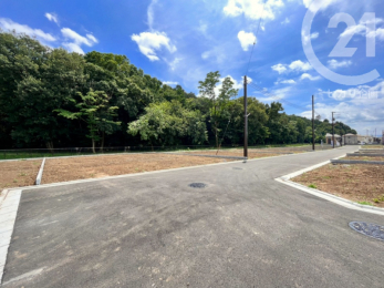 現地土地写真 ／分譲地内には歩道があり、新設予定の公園までの道のりも安心です。（04/06/04）