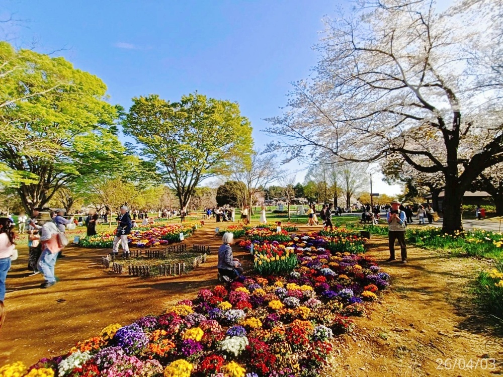 国営昭和記念公園