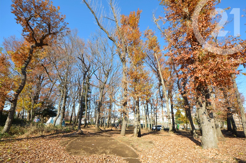 立野林間こども広場